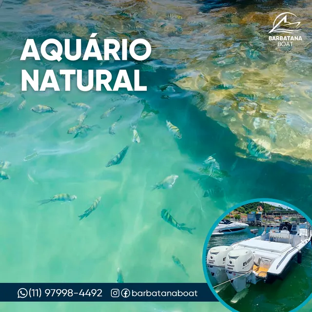 Arte para redes sociais da Barbatana Boat: Aquário natural