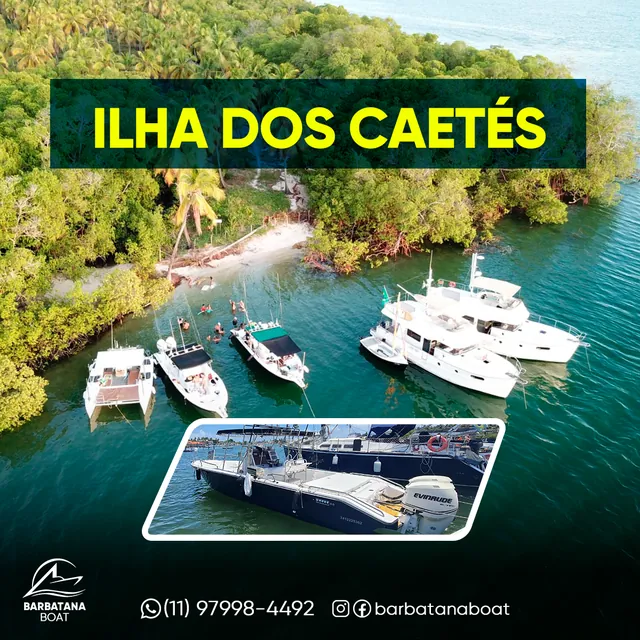 Arte para redes sociais da Barbatana Boat: Ilha dos Caetés
