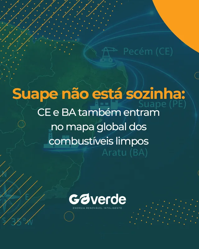 Arte para redes sociais da GoVerde: Suape não está sozinha