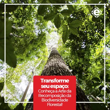 Arte da Grupo Emec