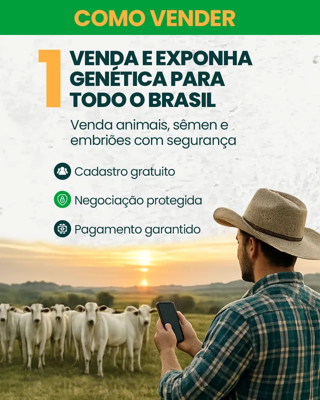 Arte para redes sociais da Hub Fazendas: Como vender na Hub Fazendas