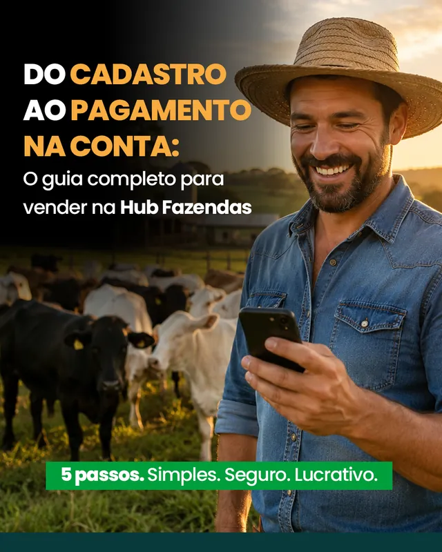 Arte para redes sociais da Hub Fazendas: Do cadastro ao pagamento na conta