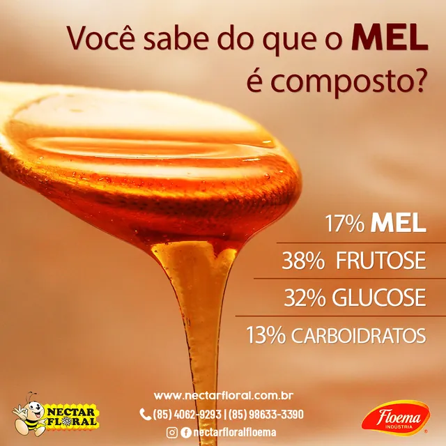 Arte para redes sociais da Néctar Floral: Você sabe do que o mel é composto?