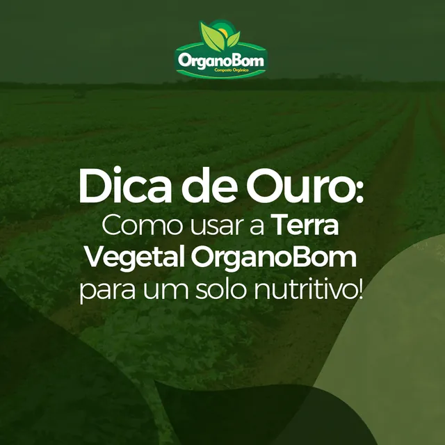Arte para redes sociais da OrganoBom: Dica de ouro: como usar a Terra Vegetal