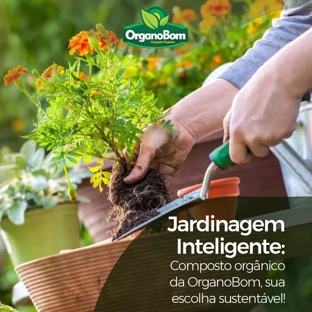 Arte para redes sociais da OrganoBom: Jardinagem inteligente